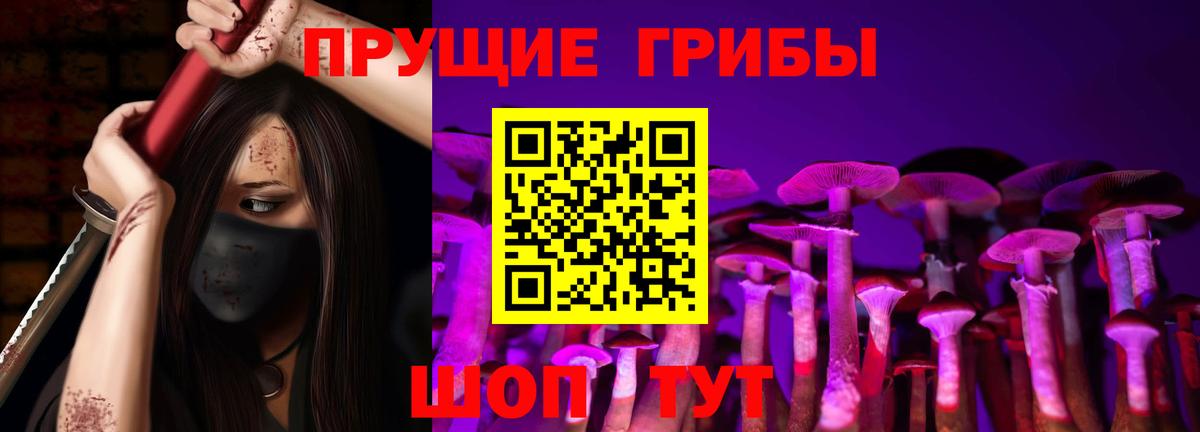 Галлюциногенные грибы Cubensis  Вход с VPN  Великий Устюг 